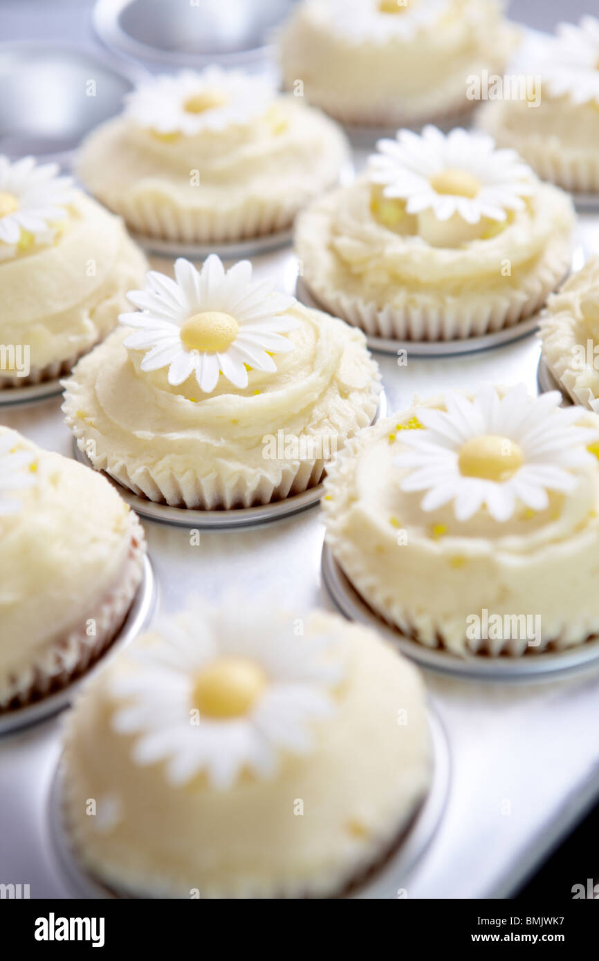 Cup Cakes Fairy cakes iced cakes pictured in a bakery. Stock Photo