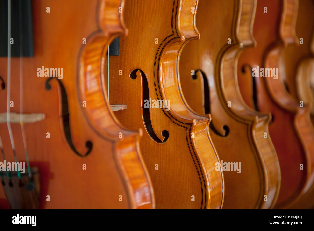 Finished hand made violins and violas Stock Photo Alamy