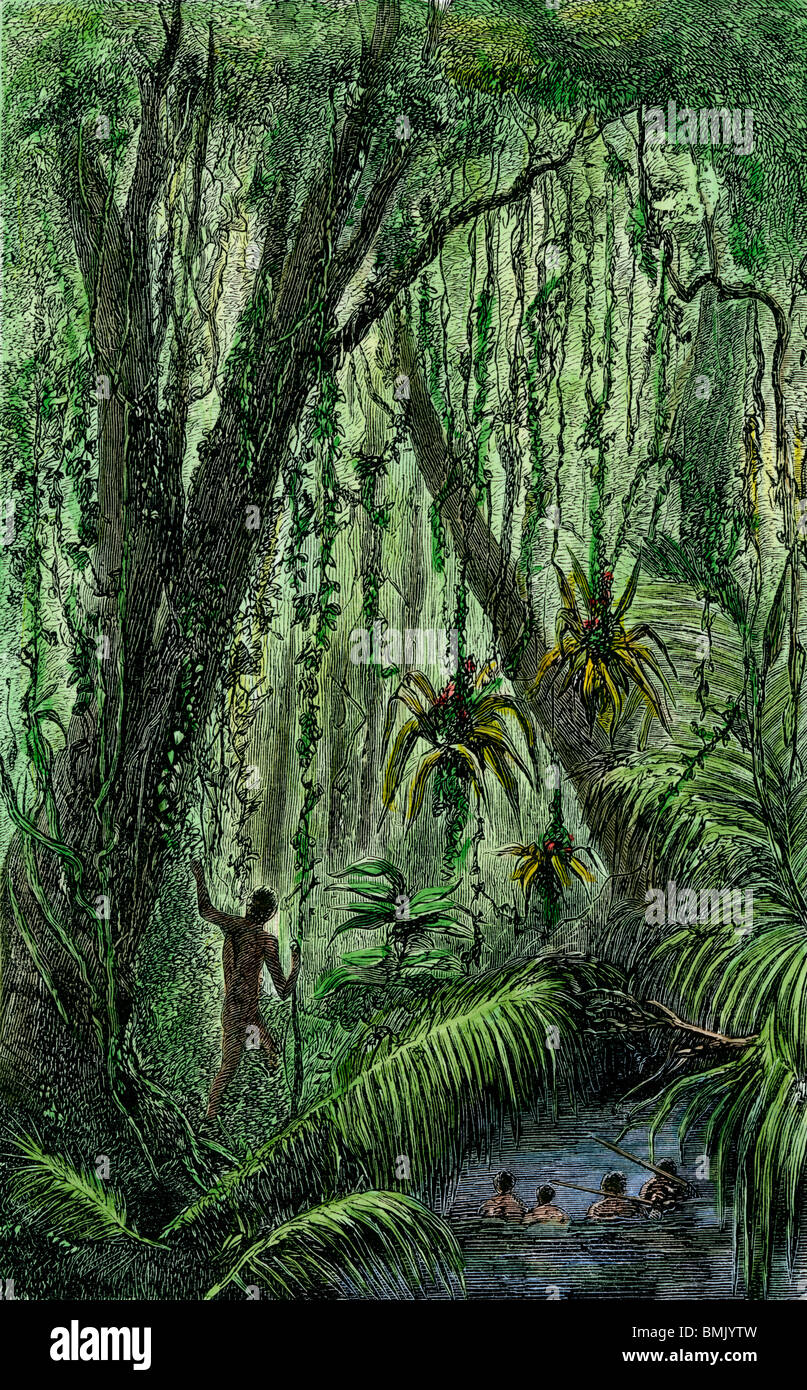 Natives in a tropical rain forest in the New World. Hand-colored woodcut Stock Photo