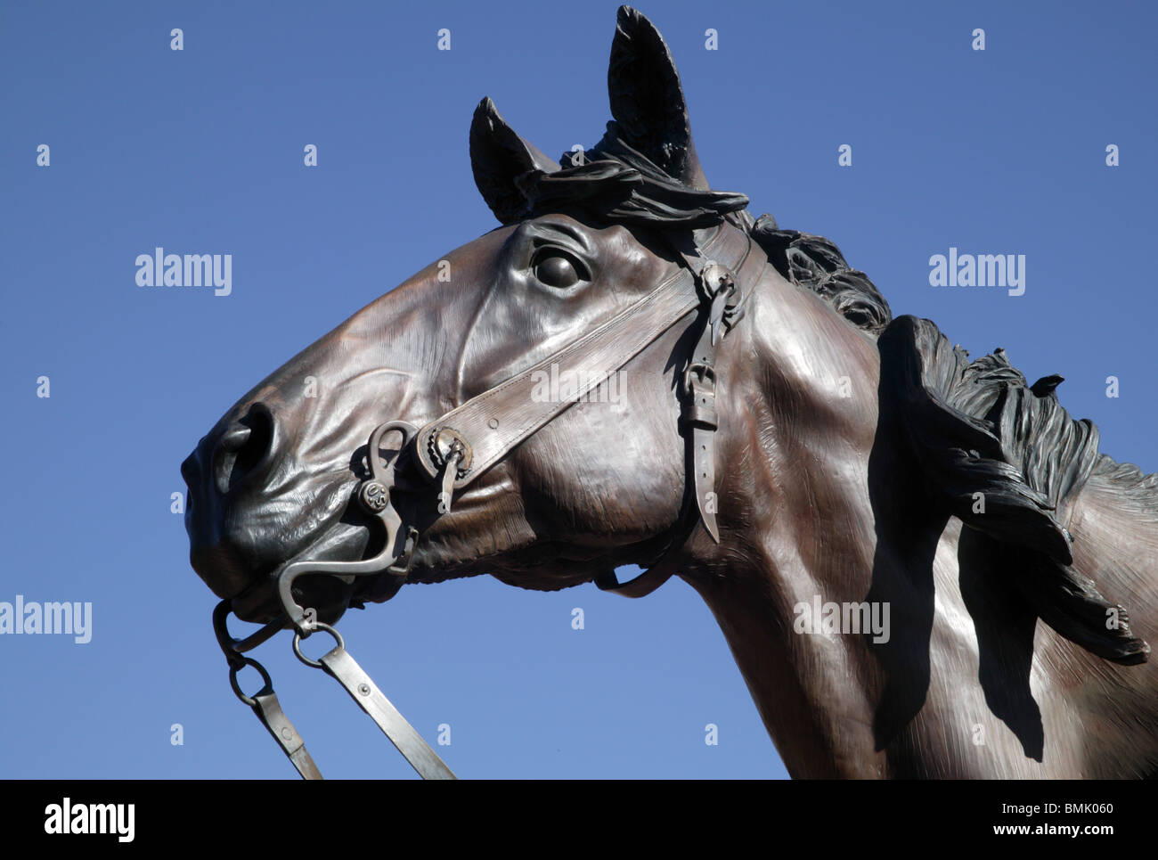 James muir hi-res stock photography and images - Alamy