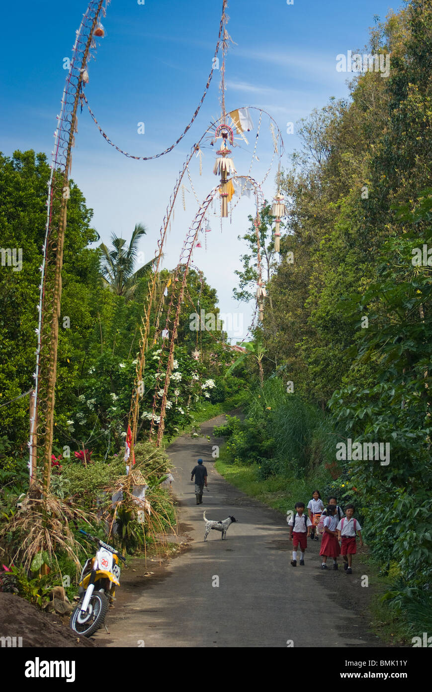 In the small village of Umajero, Bali, the holy day of Galungan is celebrated by the construction of decorated bamboo 'Penjor'. Stock Photo
