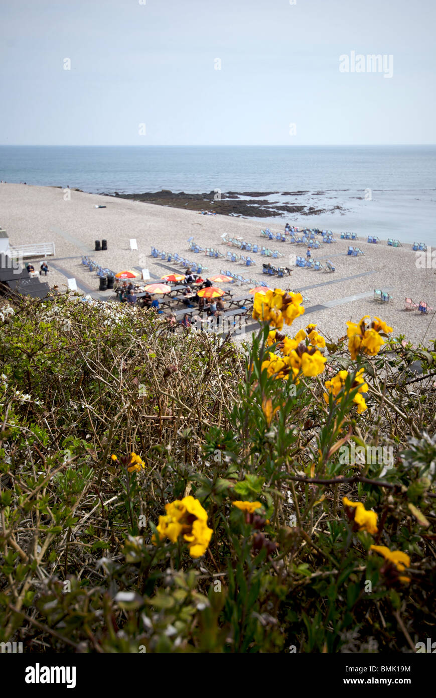 Beer Dorset UK Beach Stock Photo - Alamy