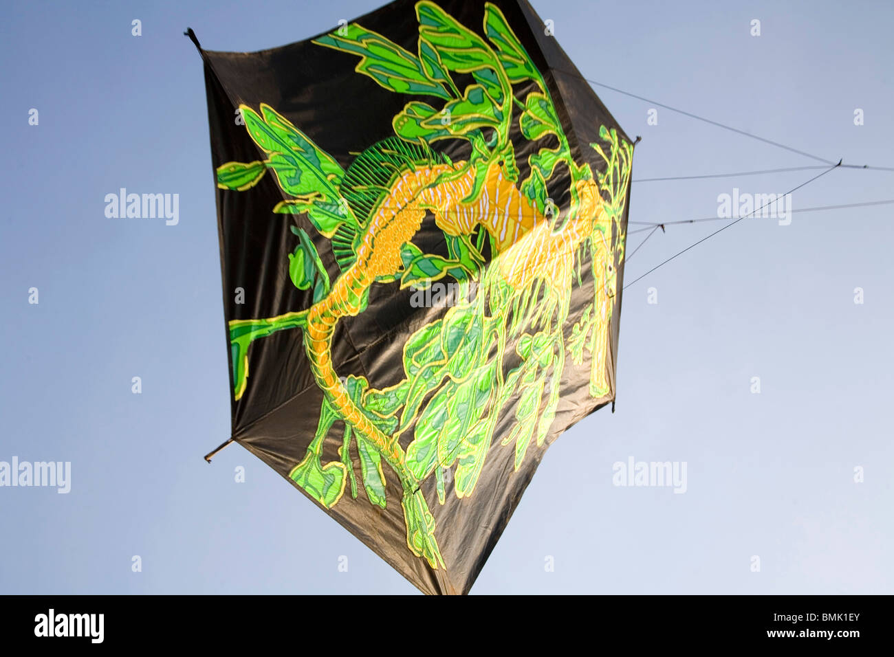 Huge kite flying in Kite festival ; Shivaji Park ; Bombay Mumbai