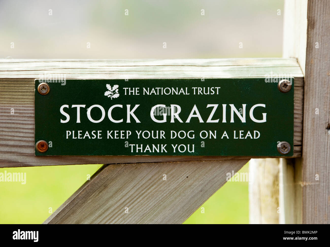 National Trust sign advising of stock grazing and to keep dogs on a lead England UK Stock Photo