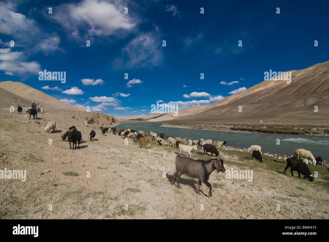 Mountainlandscape, river and herd of goats at Wakhan Valley, Pamirs, Tajikistan Stock Photo