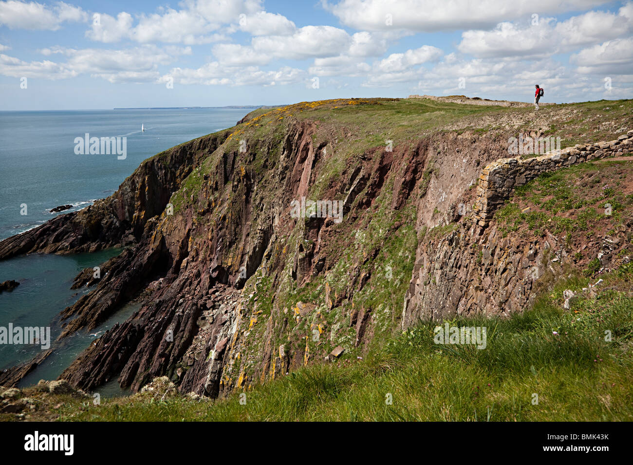 Person standing on cliff edge on coast path Caldey Island Wales UK Stock Photo