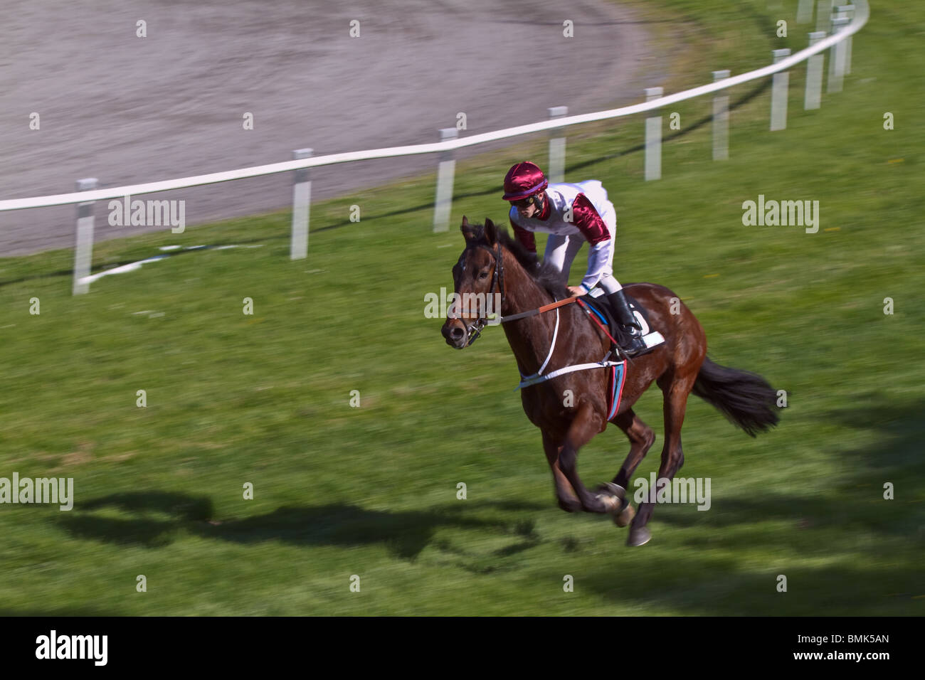 Leading gallop horse and jockey against motion blurred background. Horizontal Stock Photo