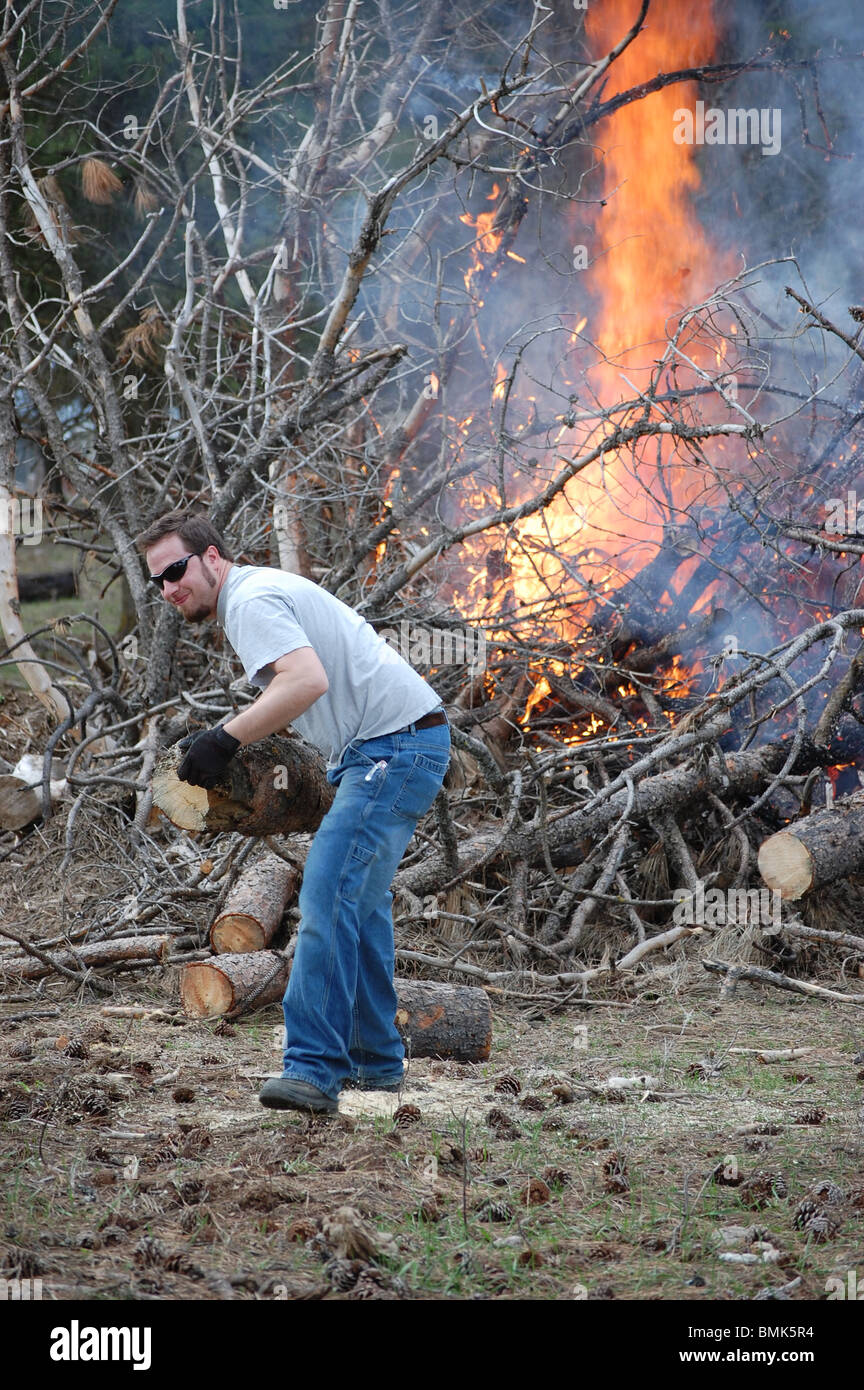 Man cleaning up a blow down, burning brush pile and cutting firewood