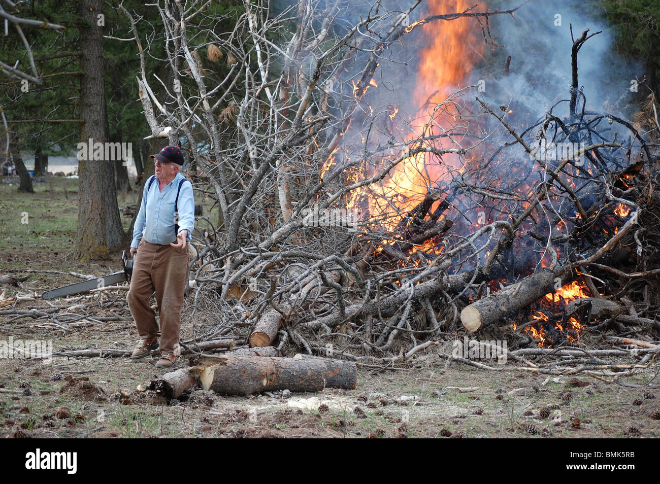 Elderly man cleaning up a blow down, holding a chainsaw, burning brush pile and cutting firewood. Stock Photo