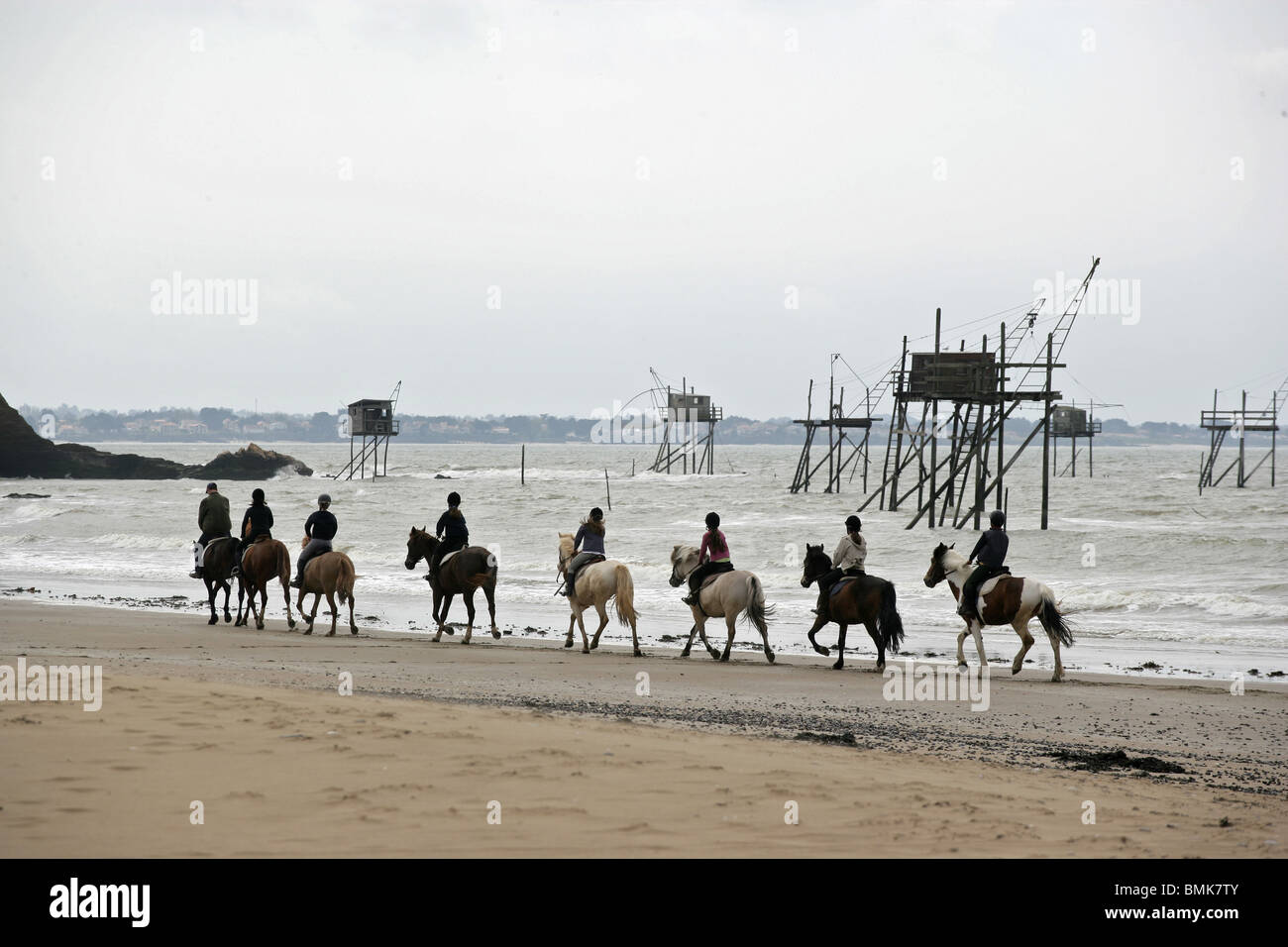 Horse on the beach Stock Photo