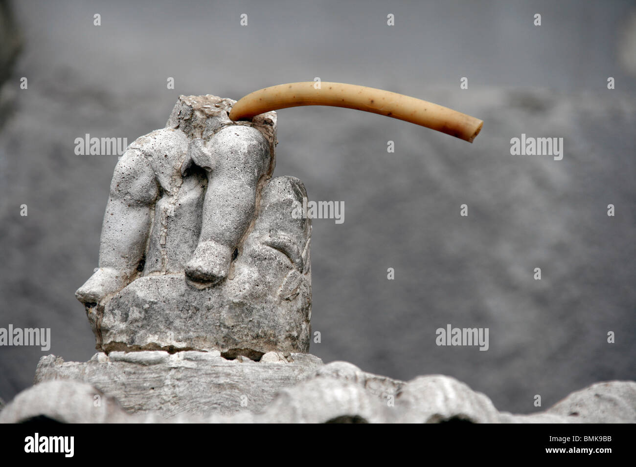 damaged statue in garden in rome, italy Stock Photo Alamy