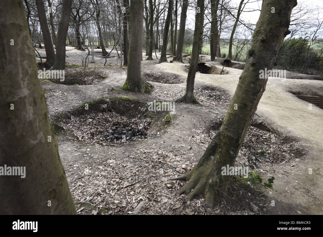 World War 1 shell craters at Sanctuary Wood near Ypres in Belgium. Stock Photo