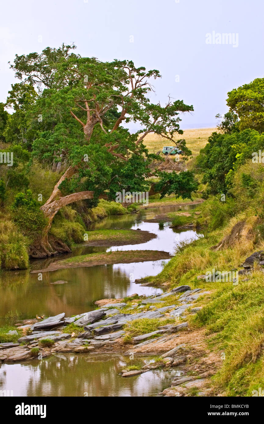 Mara creek hi-res stock photography and images - Alamy