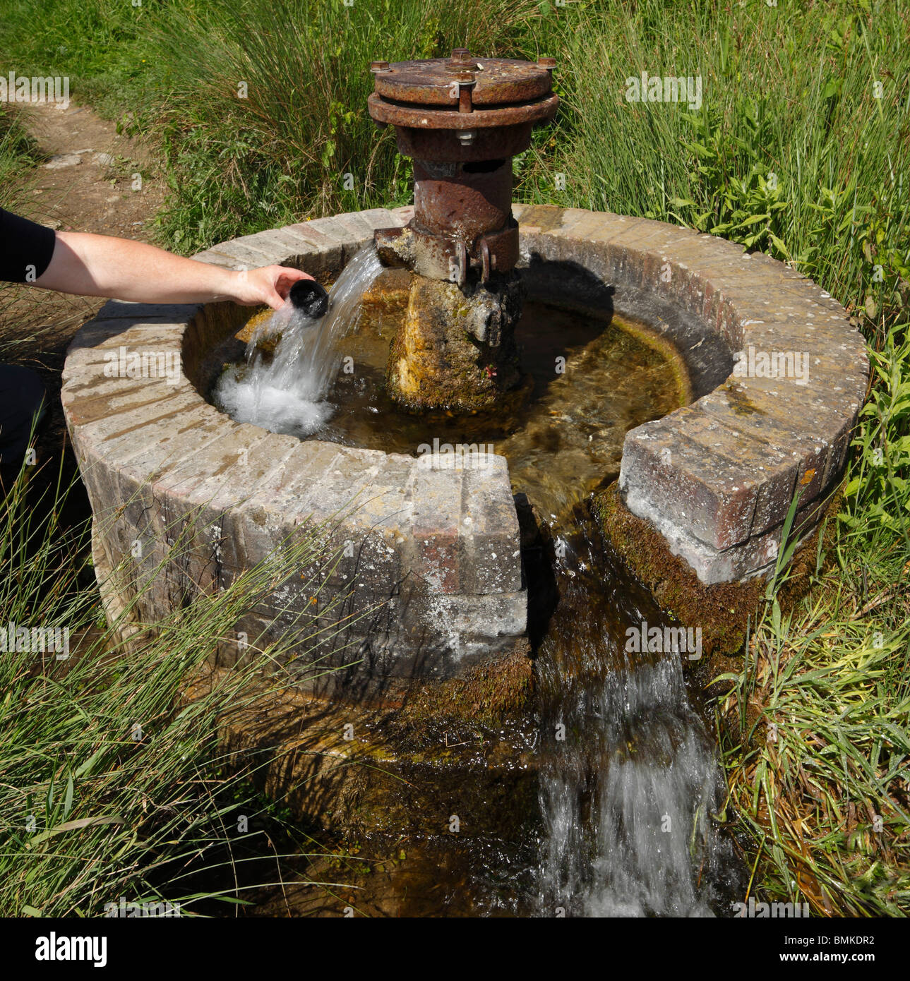 Person taking a drink from an Artesian Aquifer at Harty Ferry, Kent