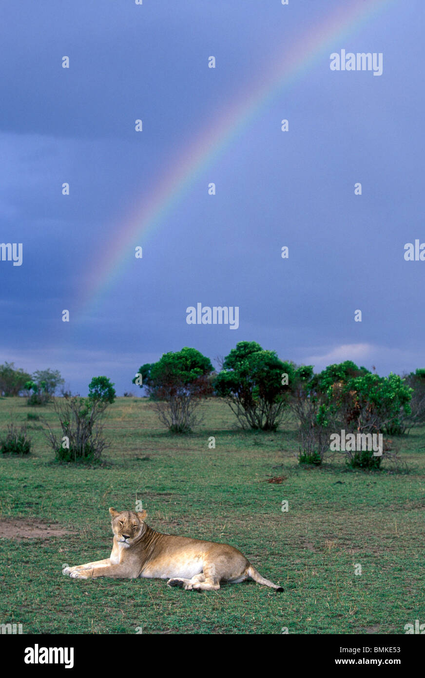 Africa rainbow after storm hi-res stock photography and images - Alamy