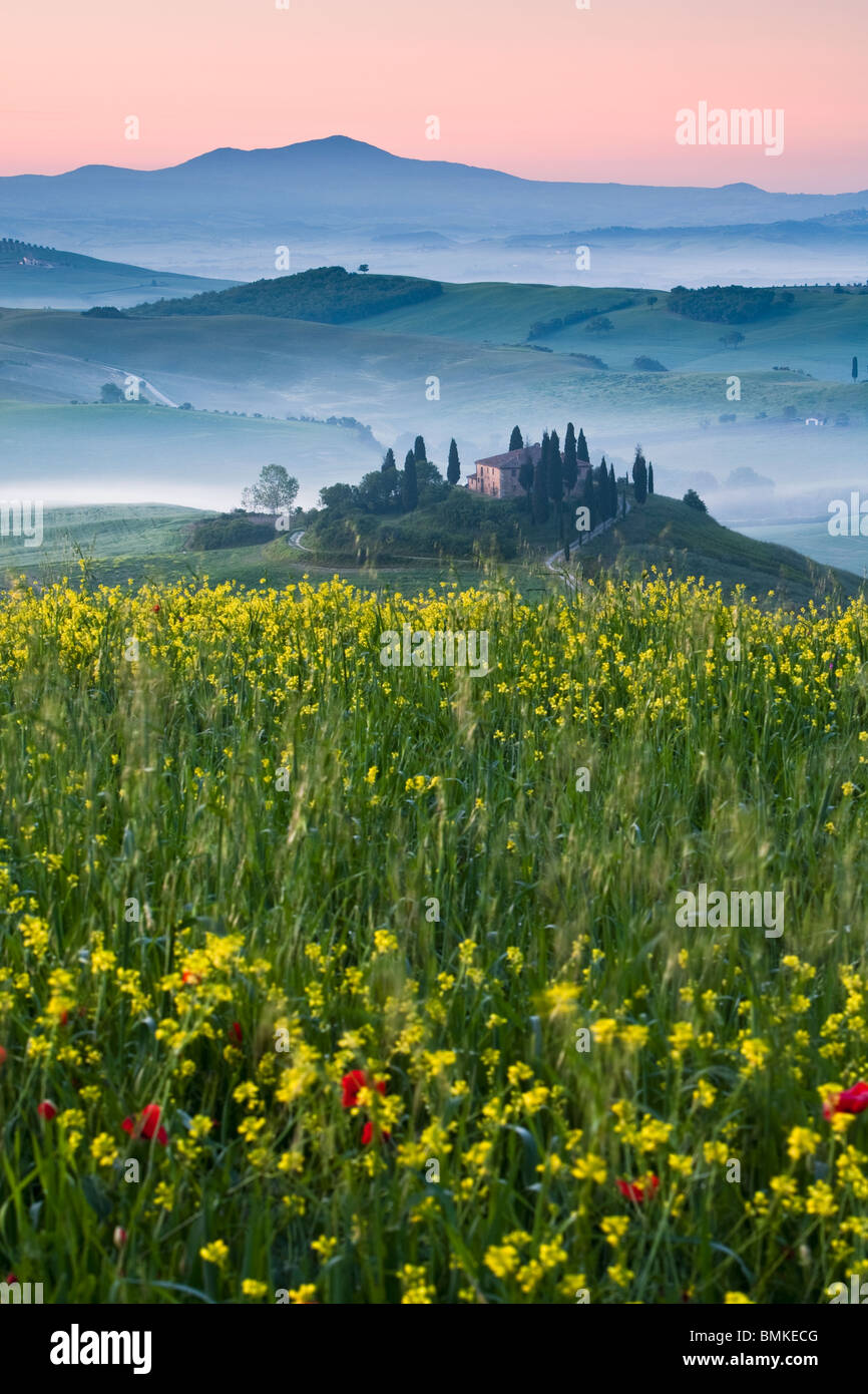 Wild flowers in tuscany italy hi-res stock photography and images - Alamy