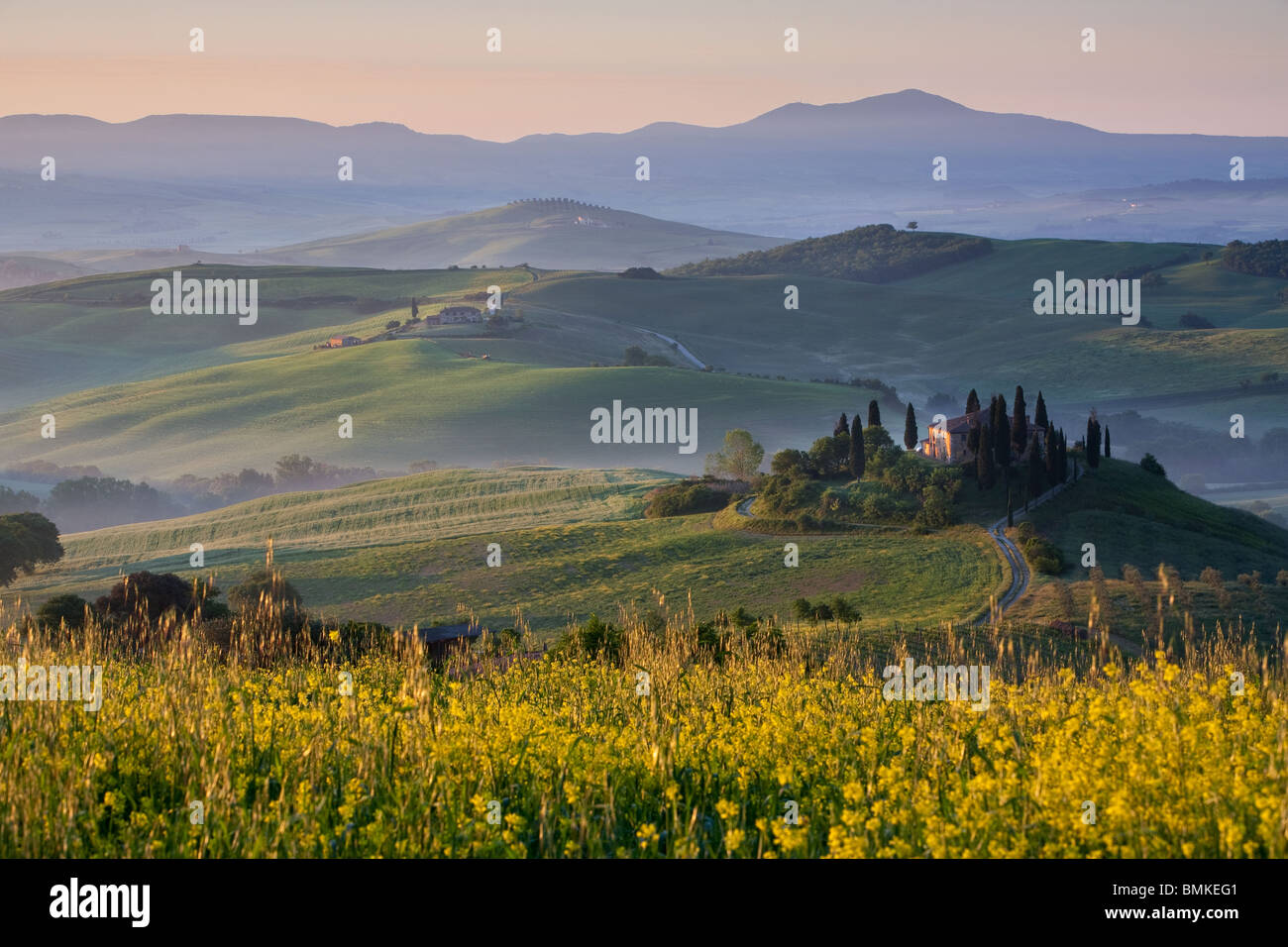 Wild flowers in tuscany italy hi-res stock photography and images - Alamy