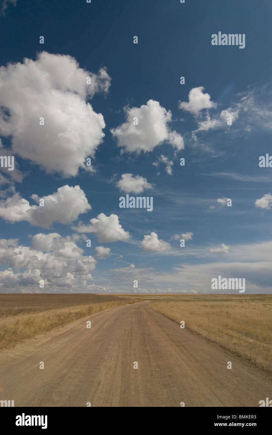 Dustay road in the steppe. Tamagaly Das, Kazakhstan Stock Photo