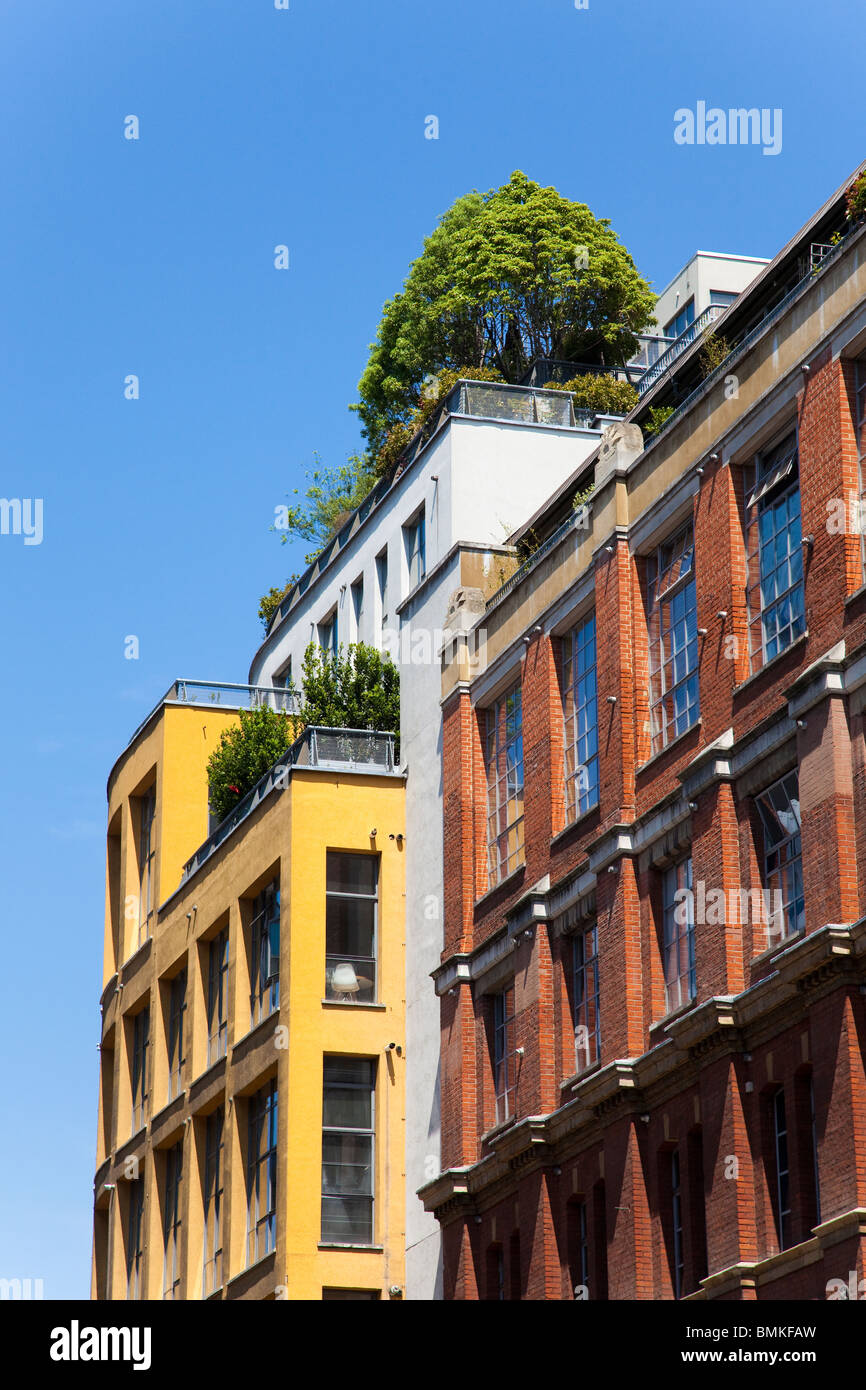 Picture of Apartment roof garden hi-res stock photography and images - Alamy