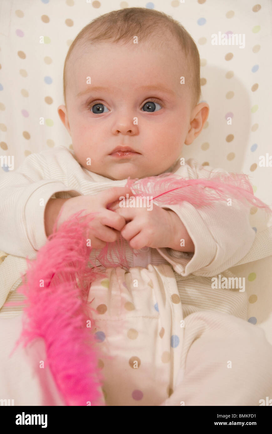 Portrait of Baby Girl Sitting in Spotted in Bouncer Chair PLaying With Large Pink Feather Stock Photo