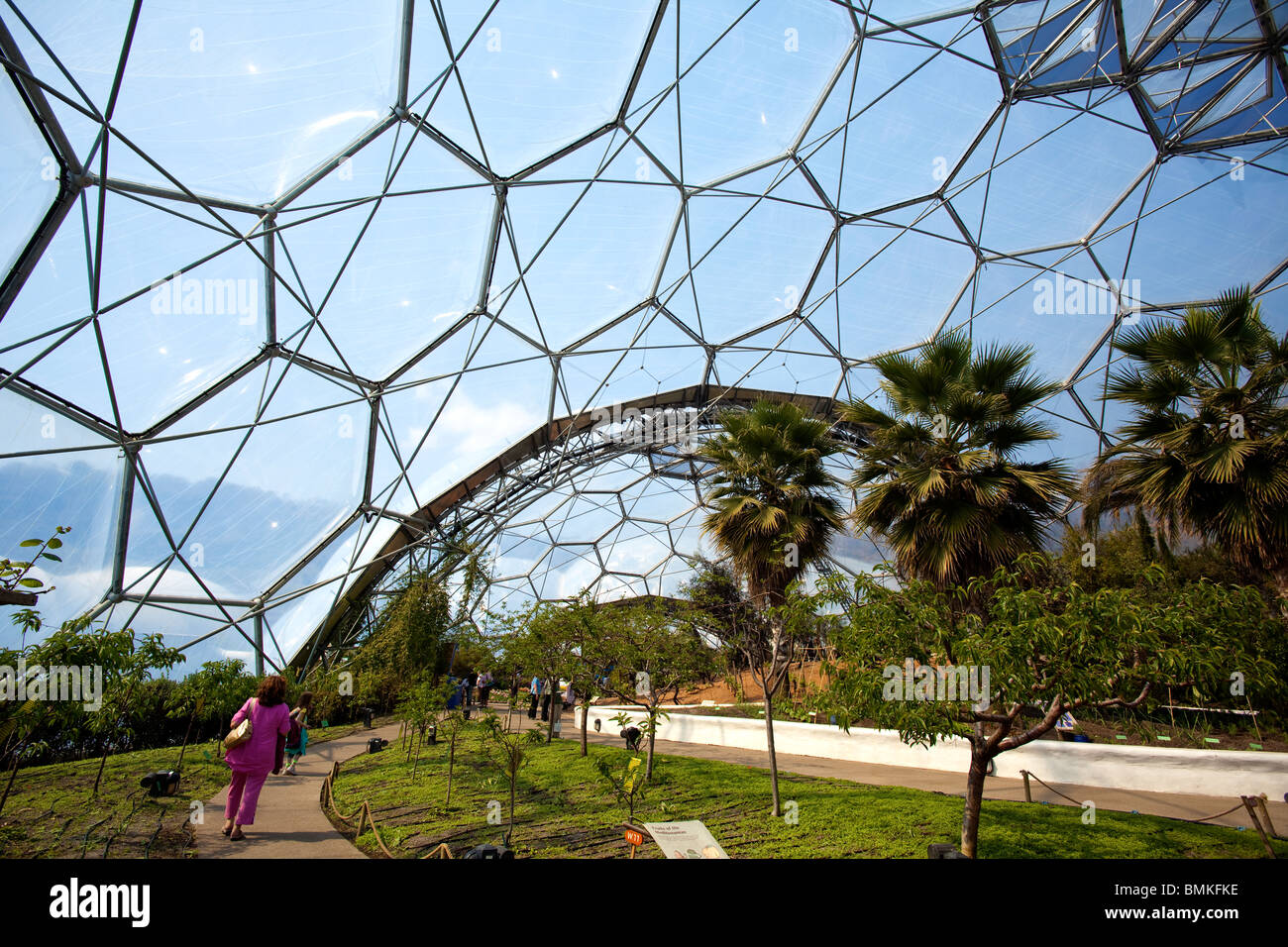 The Biomes at the Eden Project, Cornwall Stock Photo