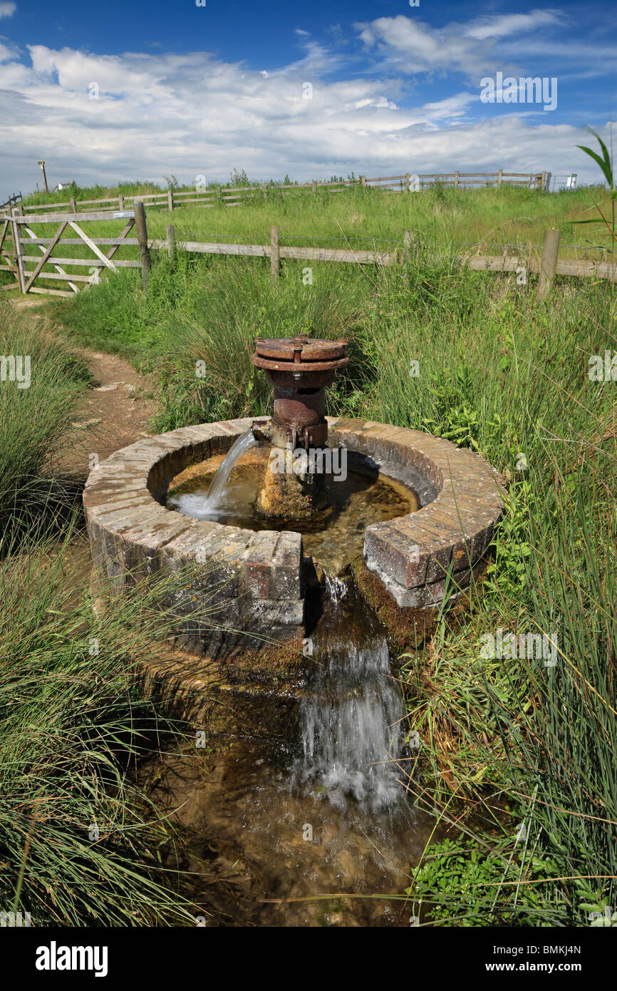 The Artesian Aquifer at Harty Ferry, Kent. Stock Photo