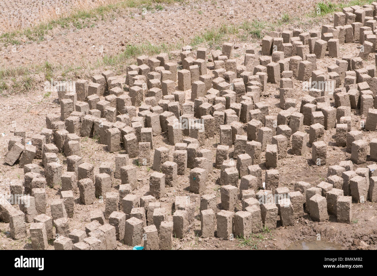 Adobe bricks lying in the sun to dry, Bhutan.Asia Stock Photo