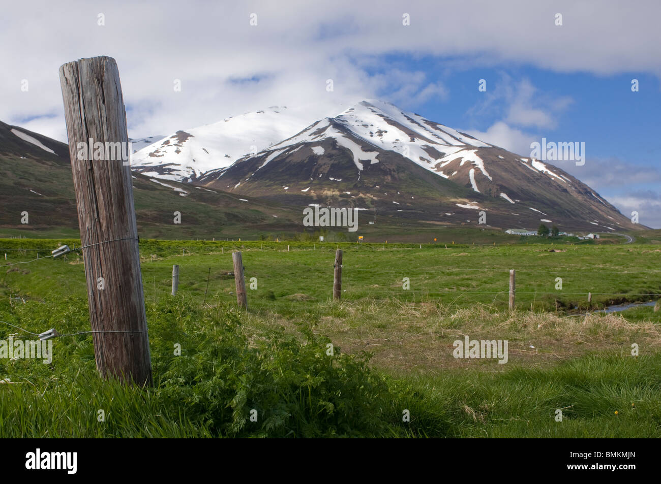 Pasture near Eyjafördur, Iceland Stock Photo
