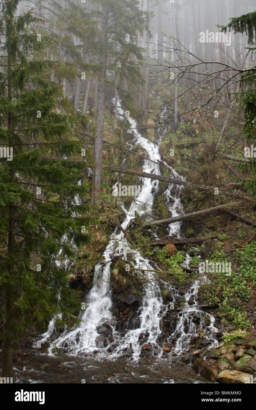 Artificial mountain waterfall on Bila Voda creek. Jeseniky, Czech Republic. Stock Photo