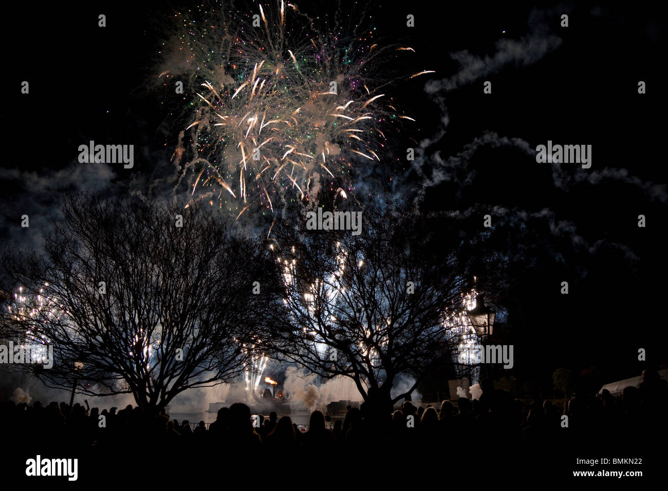 Kissimmee, FL Jan 2009 Fireworks light up the night sky at Walt