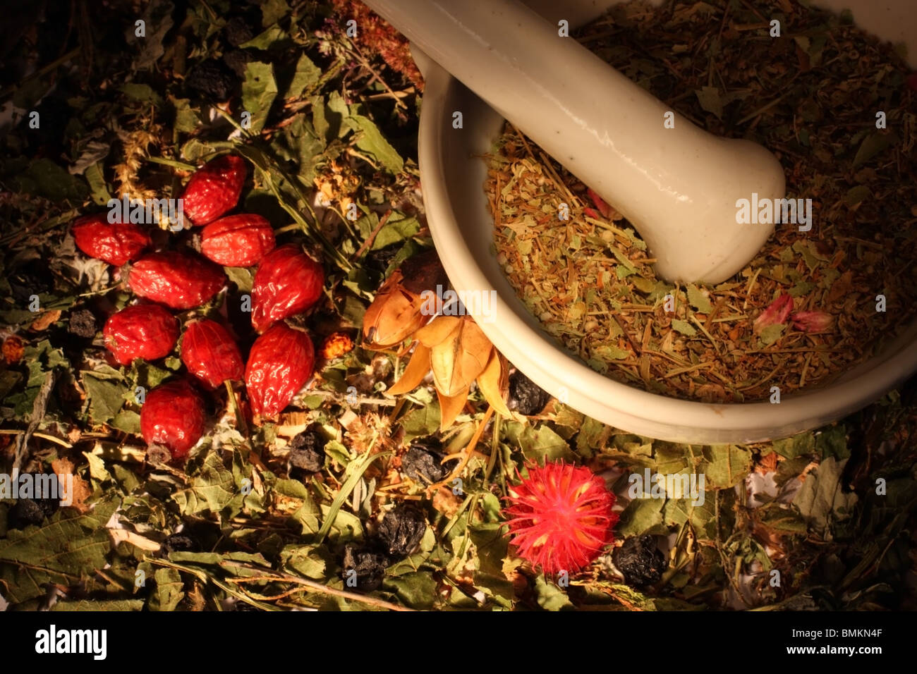 Mortar and pestle with dry herbs and hips Stock Photo