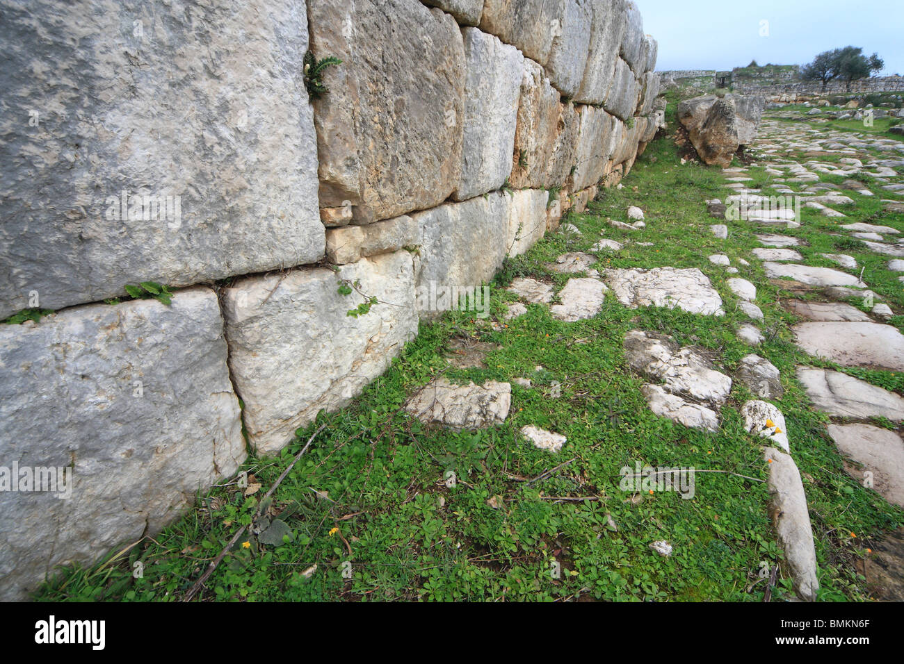 Ancient walls (roman period) at Norba,Latium,Italy Stock Photo - Alamy
