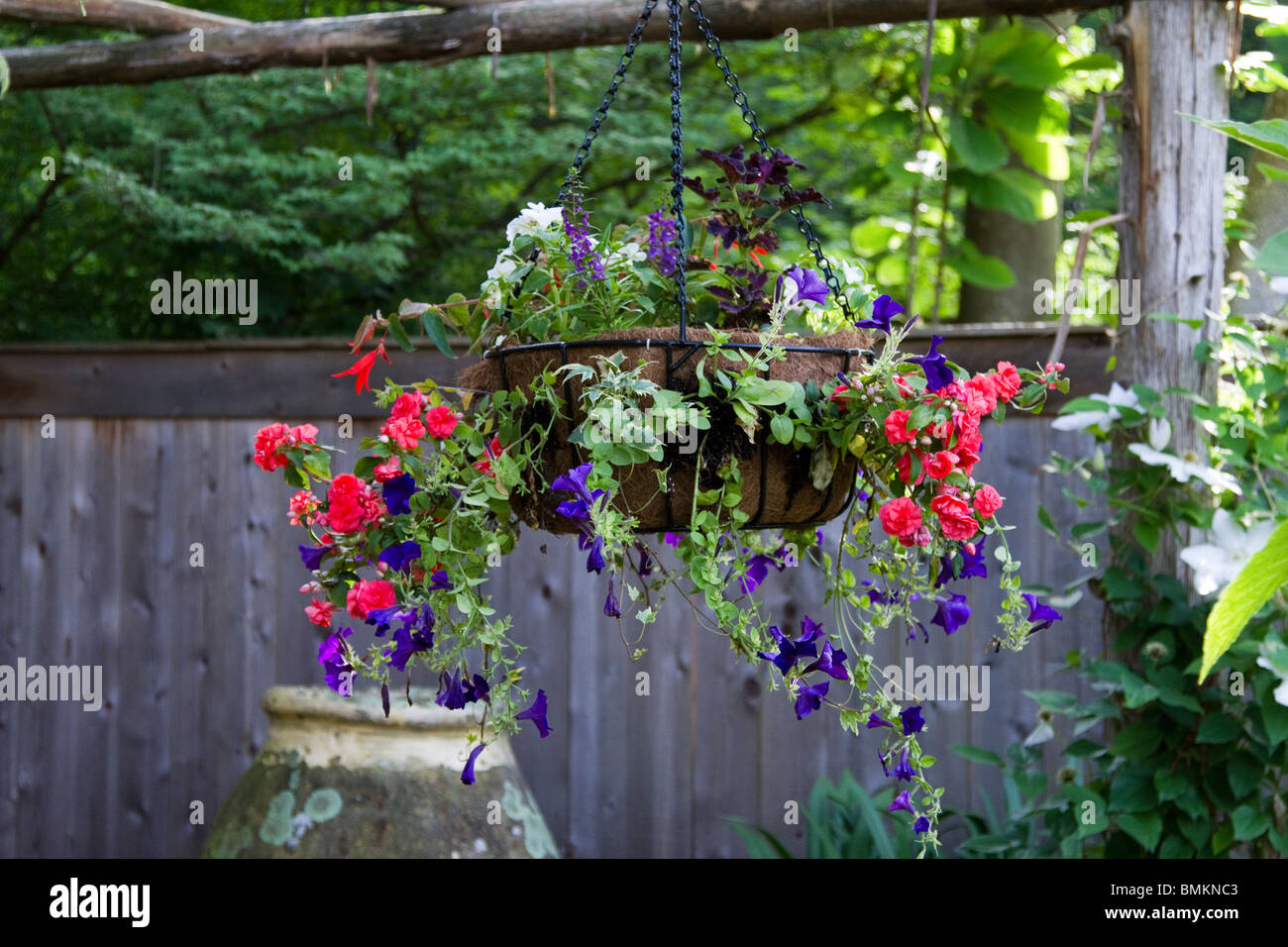 A hanging basket of flowers Stock Photo Alamy