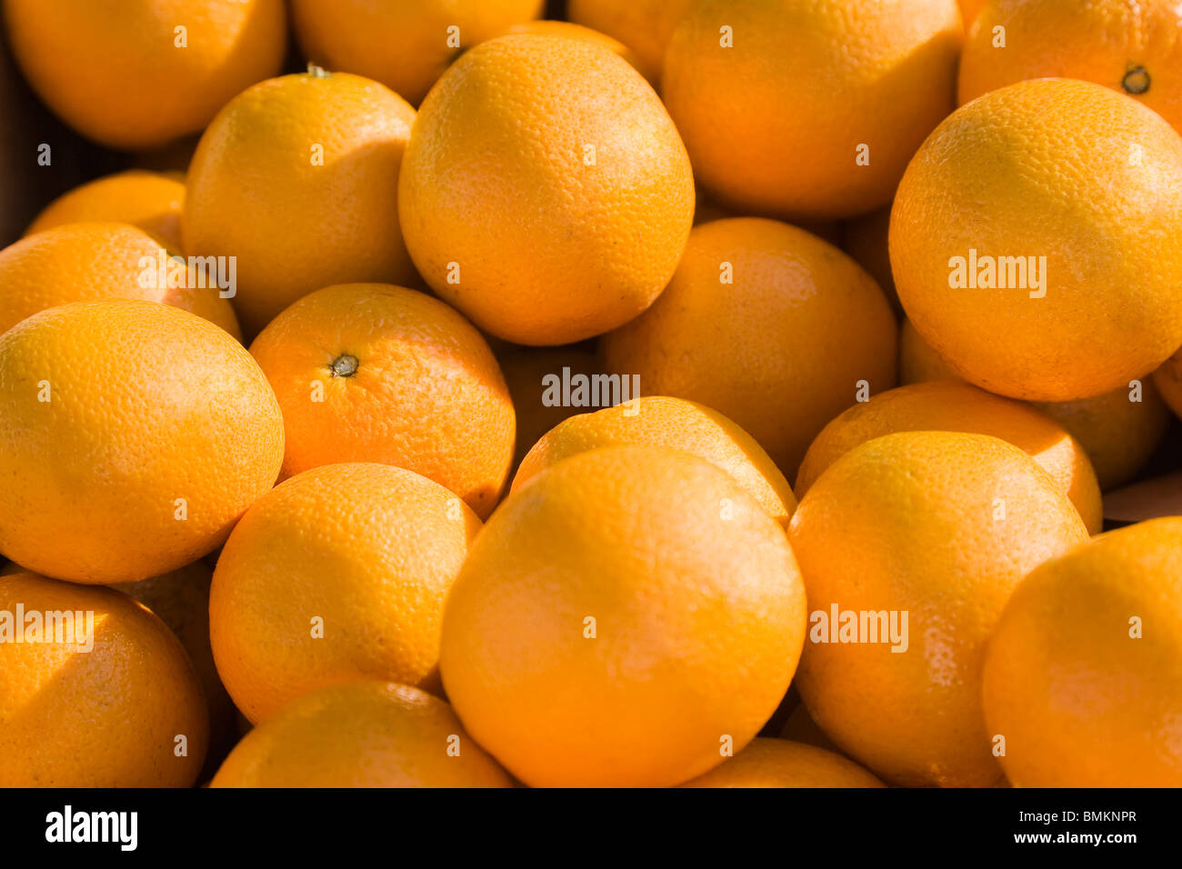Florida oranges hires stock photography and images Alamy