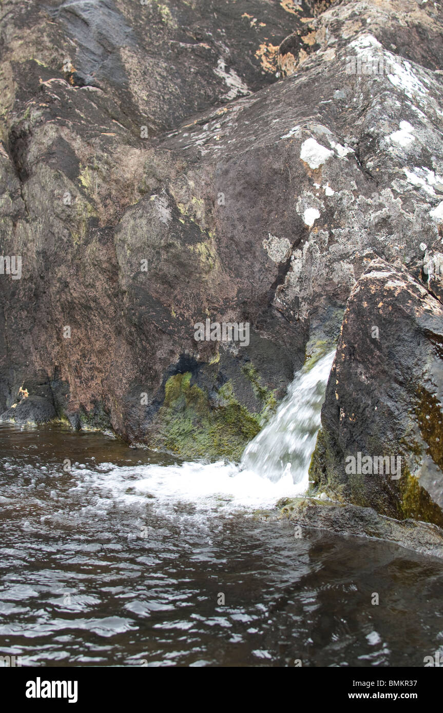Lichen of wet rocks hi-res stock photography and images - Alamy