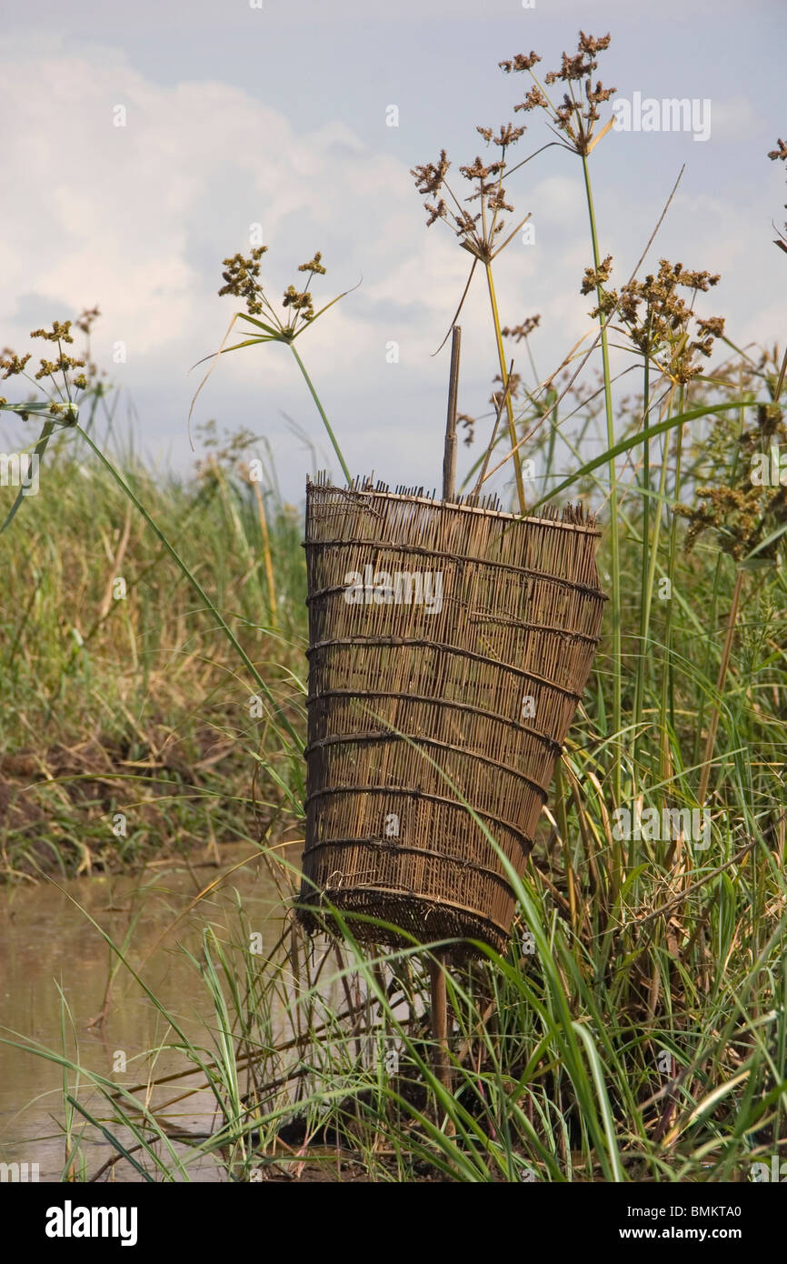 Africa; Malawi; Lake Chilwa; Fishing weir basket on pole Stock Photo