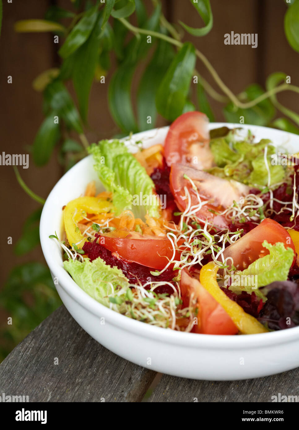 Over the Rainbow Salad Stock Photo Alamy