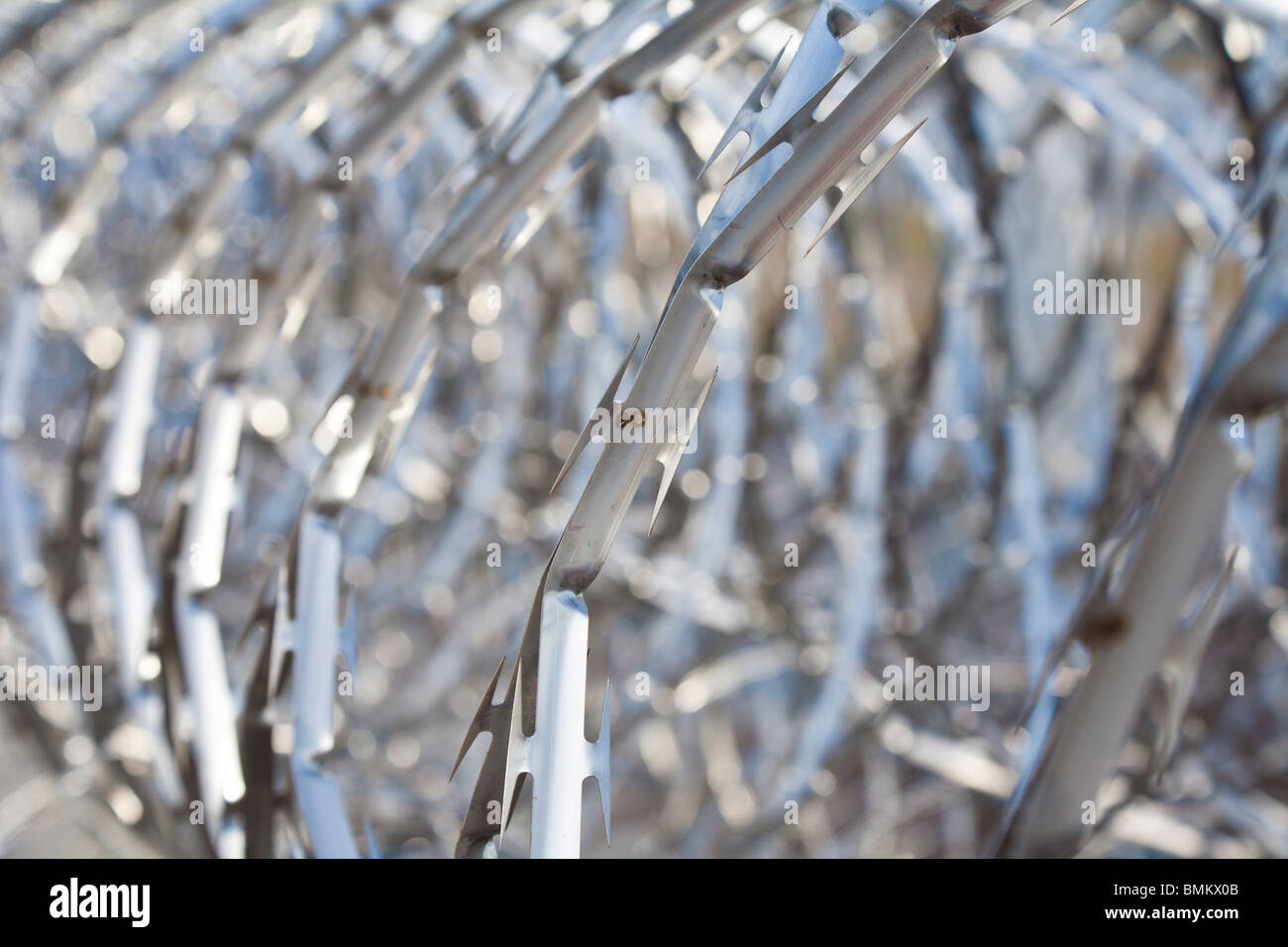 Rolls of stainless steel razor wire spirals keep prisoners away from chain link fence at correctional facility in Florida Stock Photo