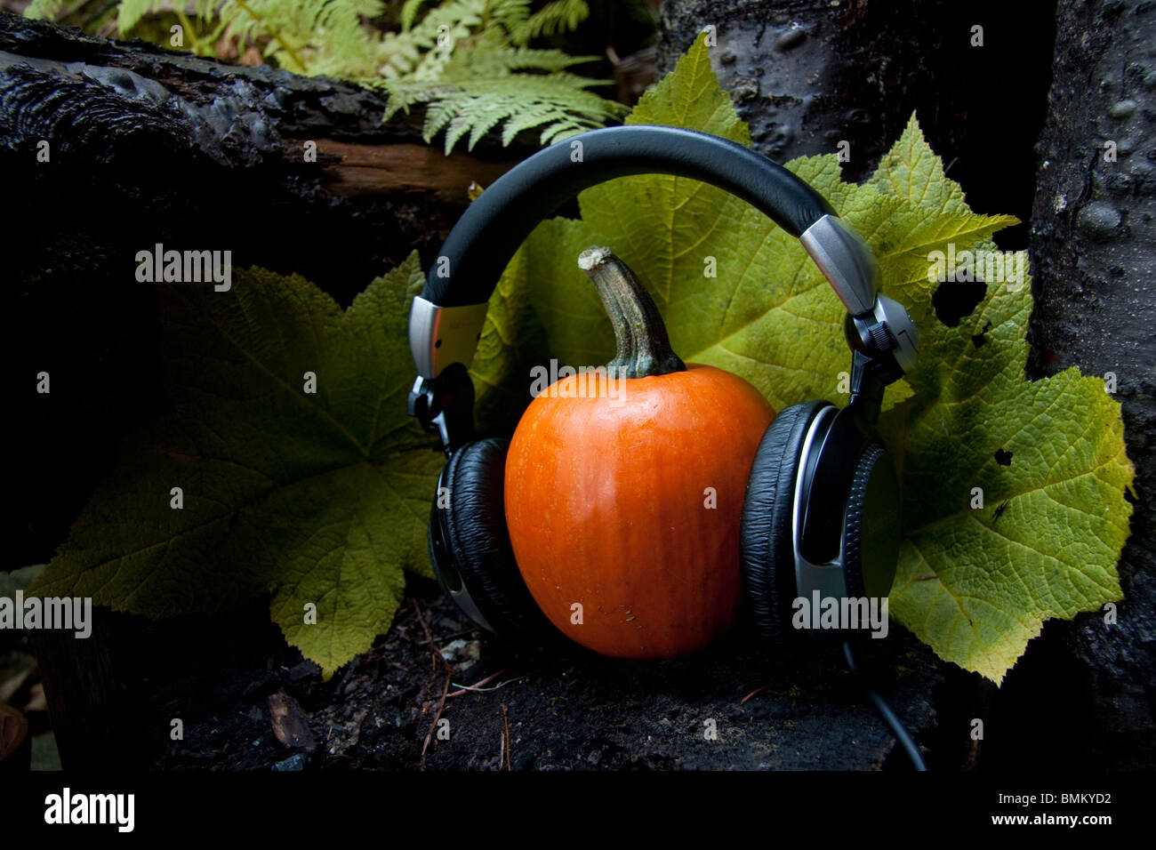Computer Microphone Clipart Black And White Pumpkin