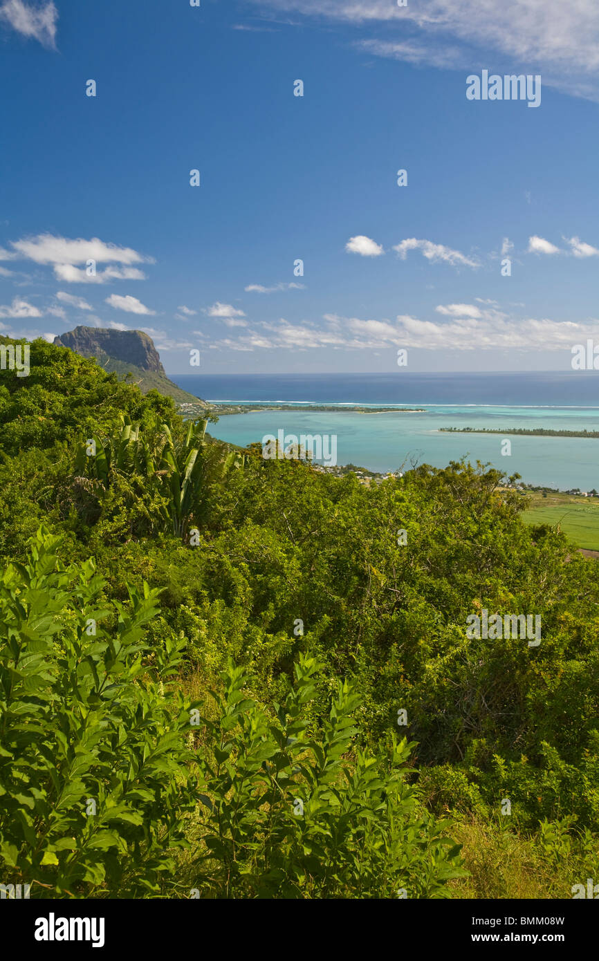 Viewpoint near Grand Riviere Noire, South Mauritius, Africa Stock Photo