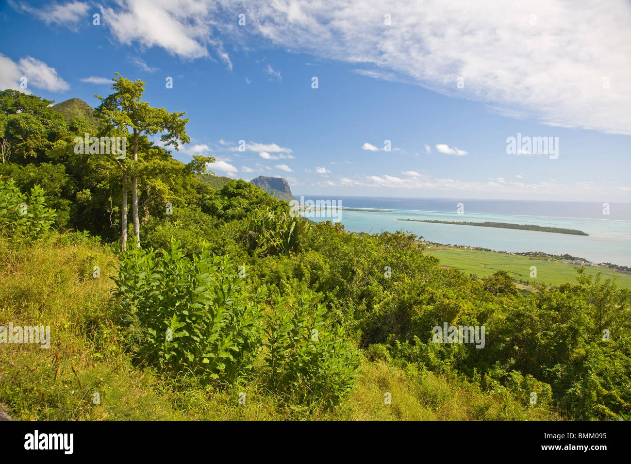 Viewpoint near Grand Riviere Noire, South Mauritius, Africa Stock Photo Alamy