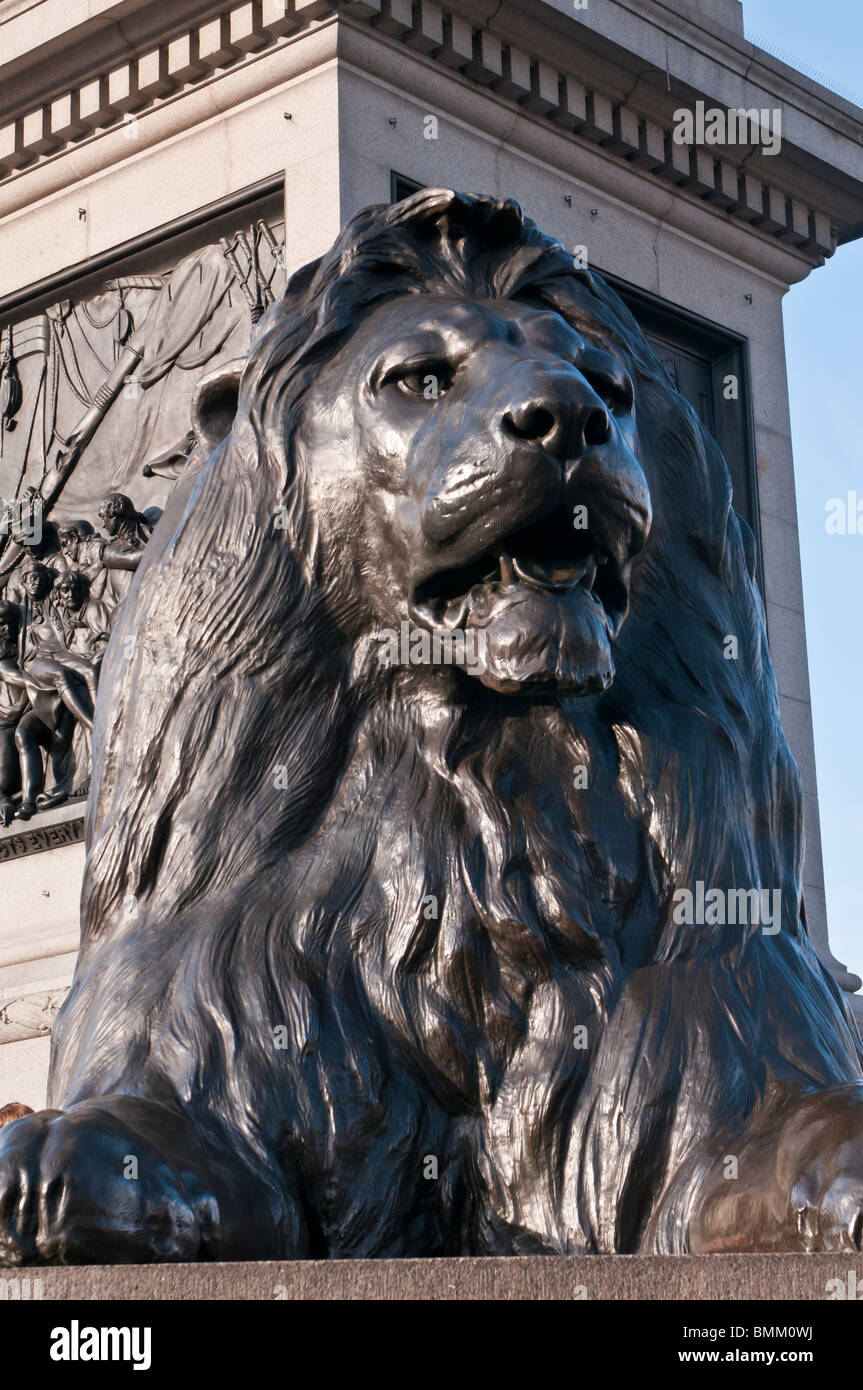 Trafalgar square london lion hi-res stock photography and images - Alamy