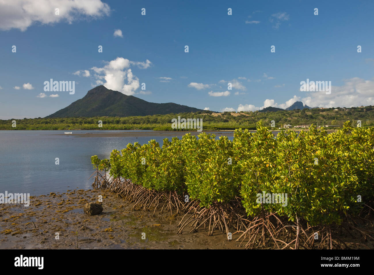 Mauritius, Western Mauritius, Petite Riviere Noir Bay Stock Photo Alamy