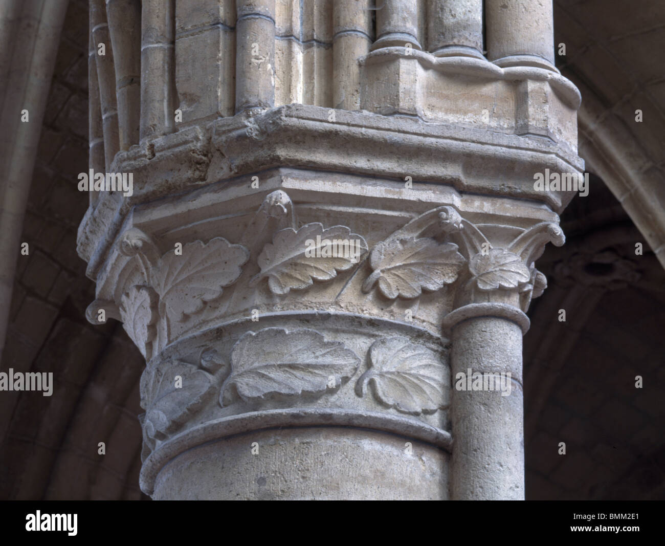 Soissons cathedral France. Capital with foliage in choir. French early 13th century Gothic Stock Photo