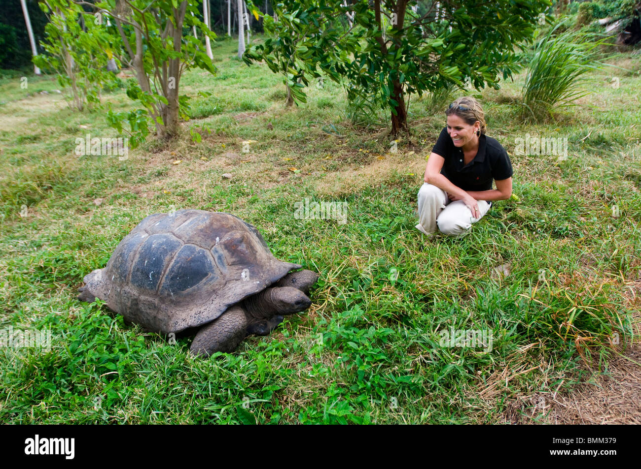 Jenny Hannenberg with Giant Tortoise Stock Photo