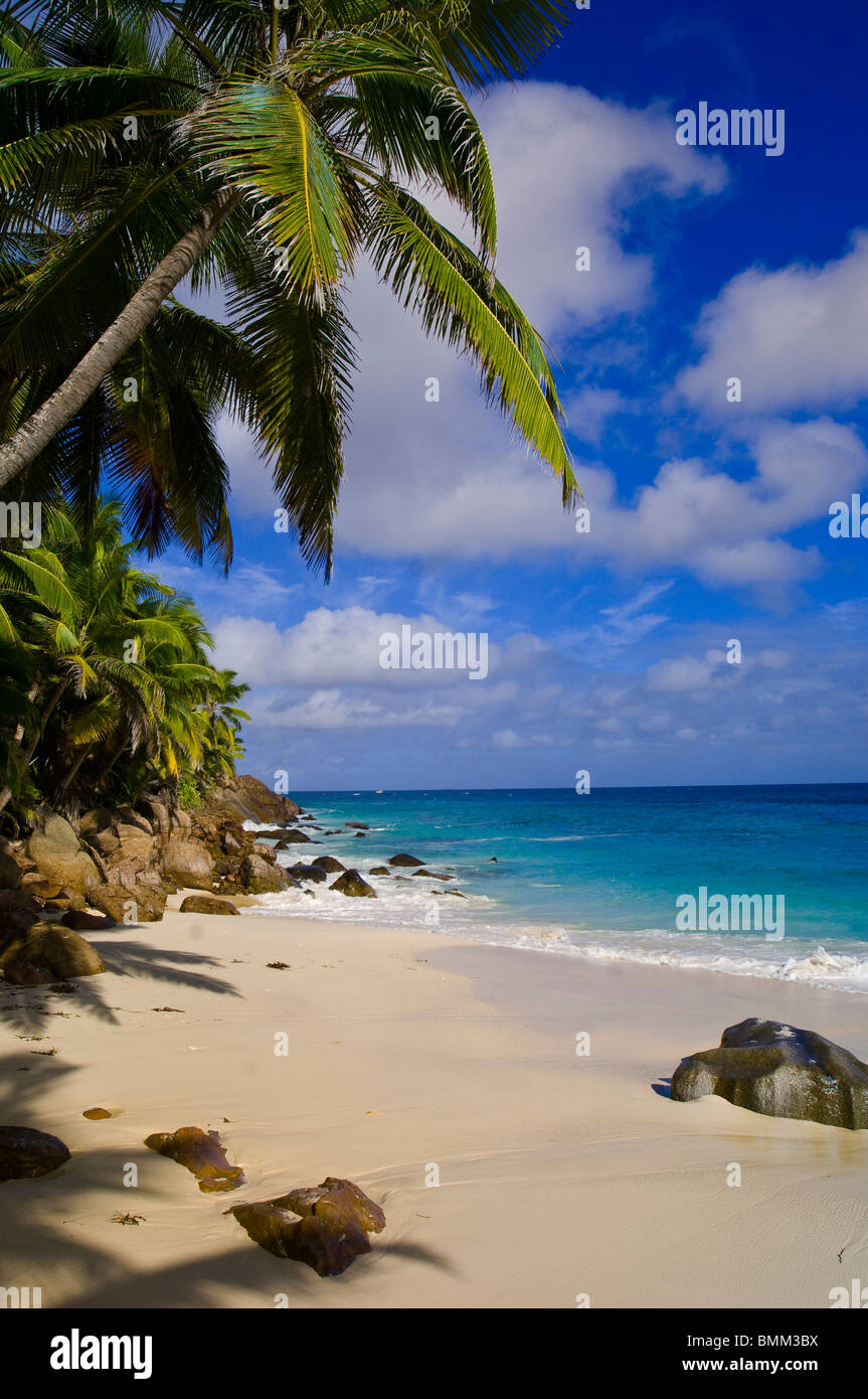 Anse Victorin Beach Stock Photo - Alamy
