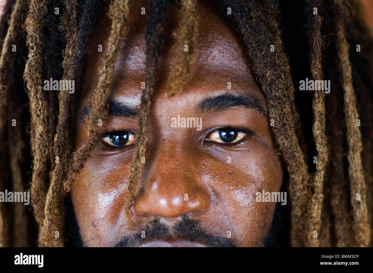 Robert, rasta guy Stock Photo - Alamy