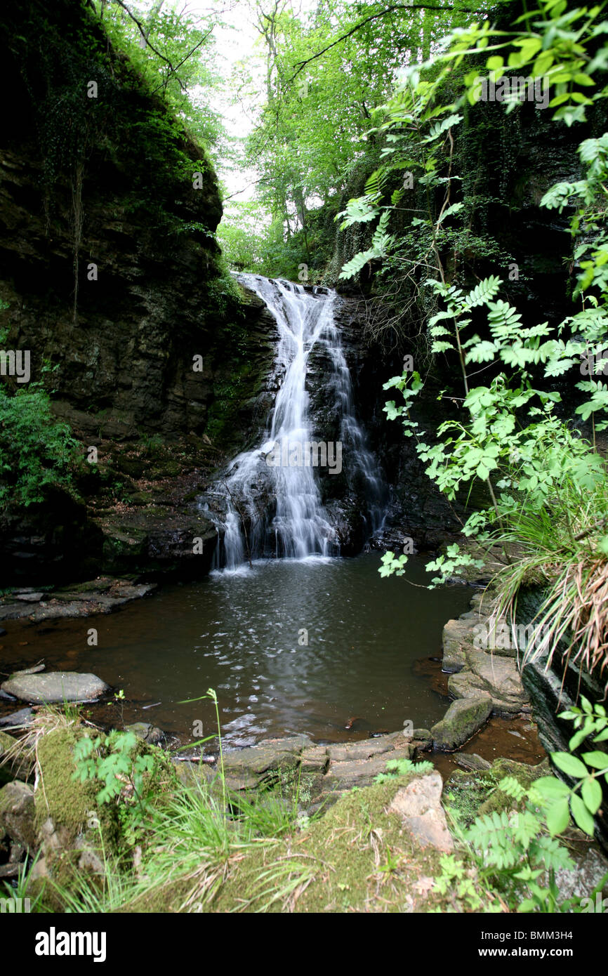 Hareshaw Linn water fall Bellingham Northumberland. 2 hour walk and is 8 out of 10 most beautiful walks in the uk Stock Photo