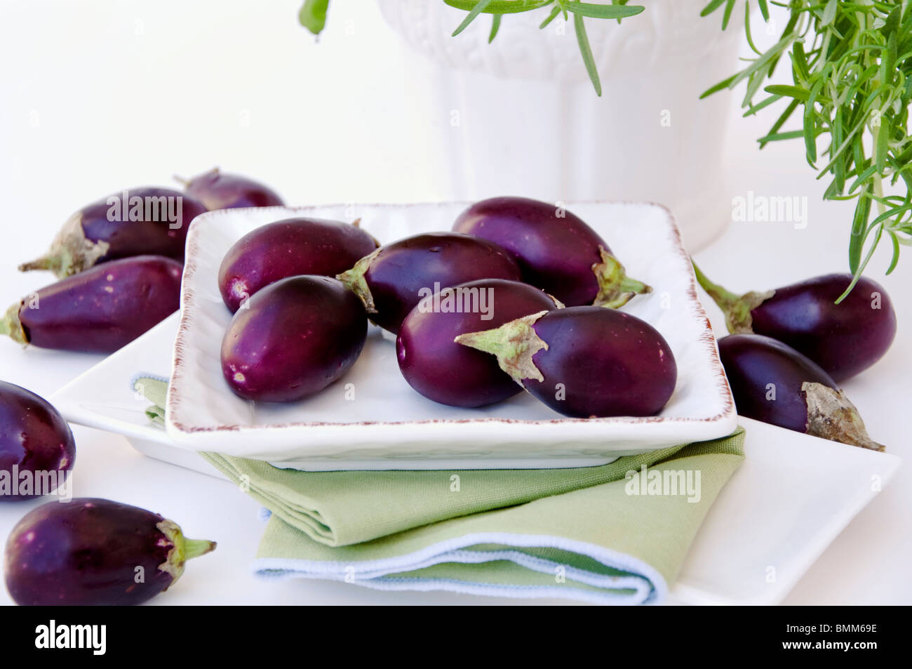 Eggplants Stock Photo