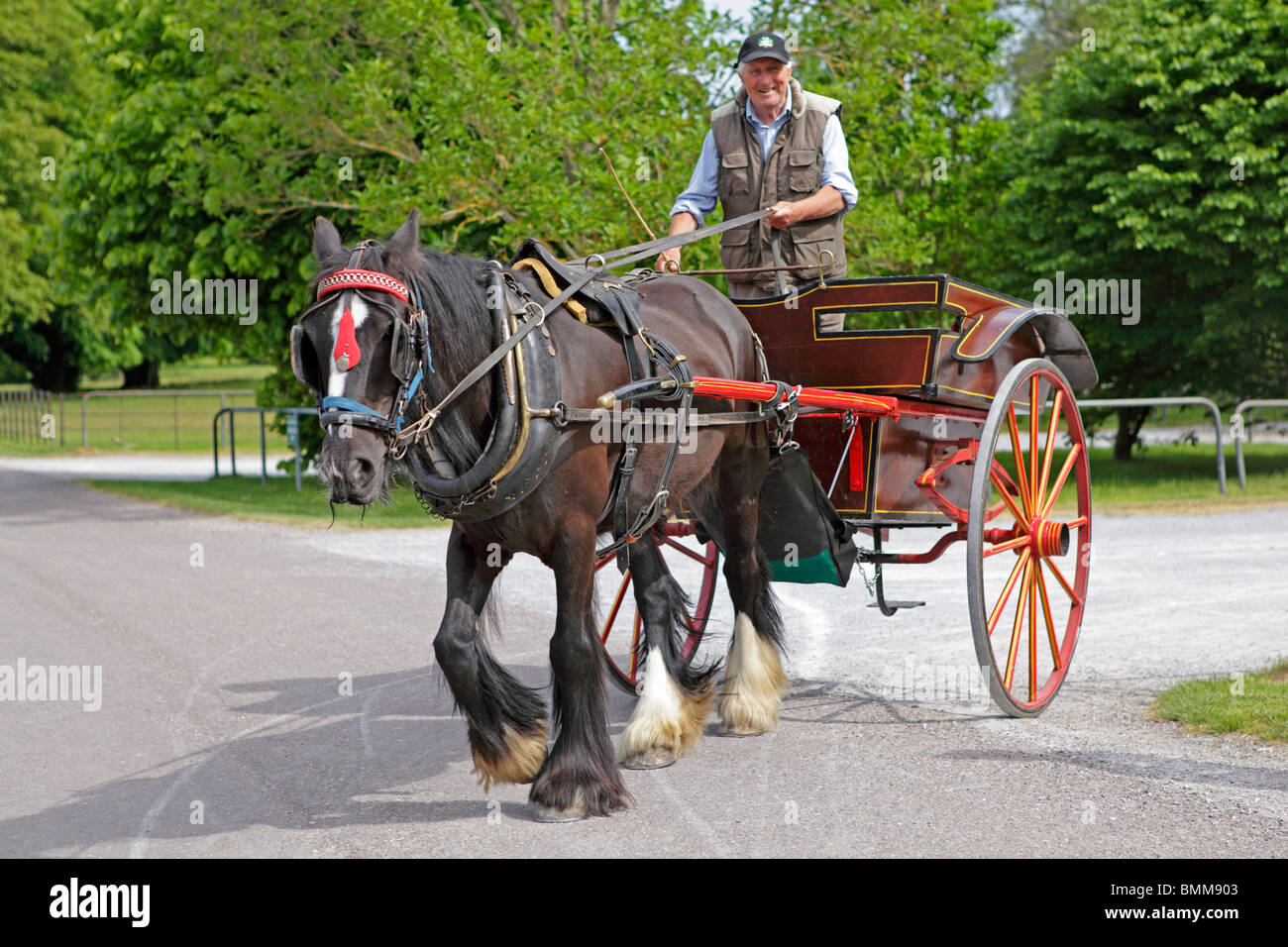jaunty car, Killarney National Park, Co. Kerry, Republic of Ireland